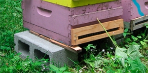 Bee hives resting on concrete blocks at Brookfield Farm, Maple Falls, WA