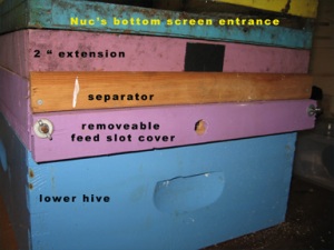 The nucleus hive front entrance on a Winter Hive Separator set up at Brookfield Farm Bees and Honey, Maple Falls, Washington