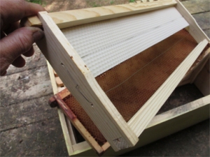 Half a sheet of beehive  foundation mounted