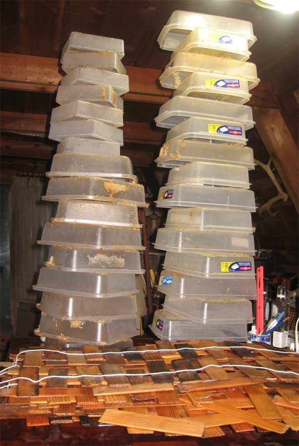 Bee feeders drying after being cleaned at Brookfield Farm, Maple Falls, WA