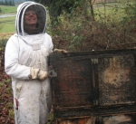Beekeeper Bean, of Brookfield Farm in Maple Falls, cleans a pallet