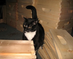 William Kitten checks out the bee box assembly line