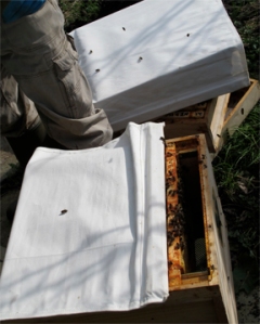 Bee Hive Covers - for working when bee hive tops are off - used by beekeeper Ian Campbell, Newcastle, U.K.