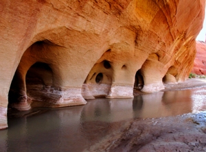 Arches carved by the Paria River into canyon walls