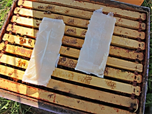 Brookfield Farm, WA, hive with Mite Away Quick Strips